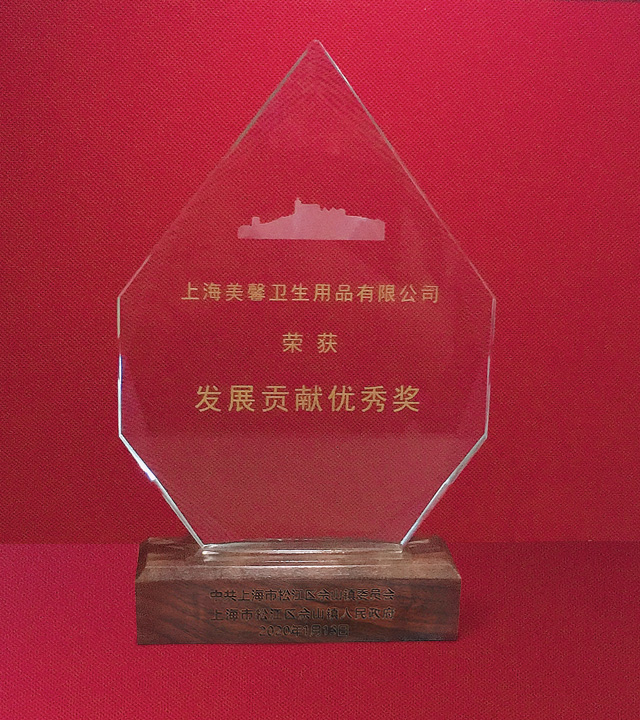 發(fā)展貢獻(xiàn)獎(jiǎng)獎(jiǎng)杯.jpg